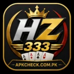 HZ 333 Game Logo